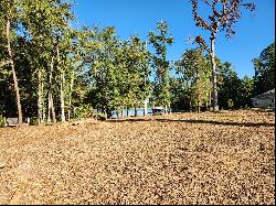 Almost 3 Acre Waterfront Lot For Sale on Lake Palestine!