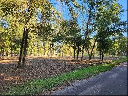 Almost 3 Acre Waterfront Lot For Sale on Lake Palestine!