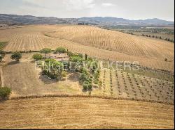 Spectacular unfinished property in Val d'Orcia