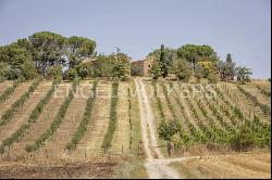 Spectacular unfinished property in Val d'Orcia