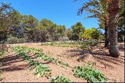 Majestic Sa Ràpita Estate