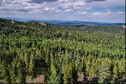 Conifer Mountain Dream on 10 Acres