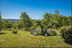 Close to Gordes - Bastide with amazing view