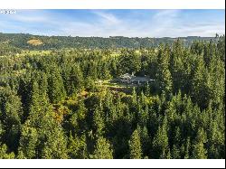 179 STADELMAN DR Trout Lake, WA 98650