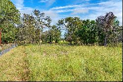 Investment Opportunity - Texas 290 Wine Trail