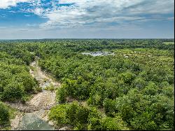 EAST TX ACREAGE FOR SALE WITH HUNTING, WETLANDS, PASTURES