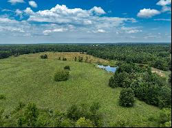 EAST TX ACREAGE FOR SALE WITH HUNTING, WETLANDS, PASTURES