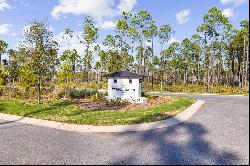 Build Your Dream Home In Gated Community With Amenities Near 30A