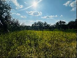 Estate Homesite