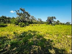 Estate Homesite