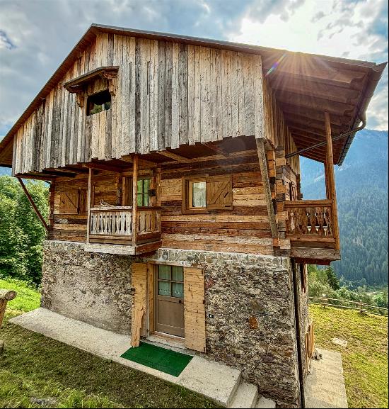 CHALET WITH PANORAMIC MOUNTAIN VIEW OF THE DOLOMITES