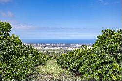 72-4065 Alahee Place, Kailua-Kona, HI, 96740