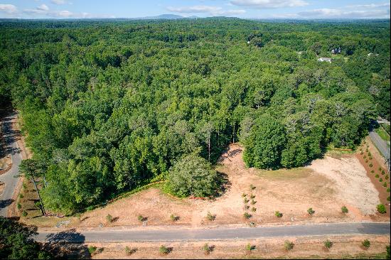 Idyllic 2.8+/- Acre Homesite in Argonne Rodge