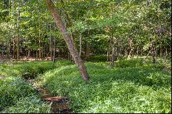 Idyllic 2.8+/- Acre Homesite in Argonne Rodge