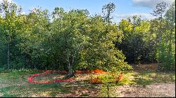 Idyllic 2.8+/- Acre Homesite in Argonne Rodge