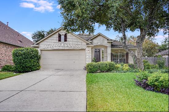 7701 Black Mountain Drive, Austin, TX 78736