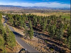 Clear Creek Lot with Building Pad and Duane Bliss Peak Views