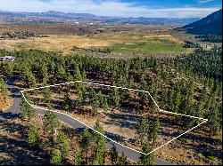 Clear Creek Lot with Building Pad and Duane Bliss Peak Views