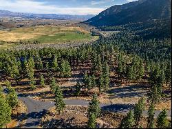 Clear Creek Lot with Building Pad and Duane Bliss Peak Views