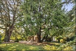 Renovated manor house, enchanting park with centuries-old trees