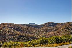 Panoramic Views in Emigration