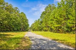 Lot 10 of The Bluffs at Laurel View