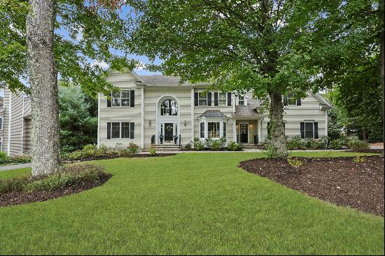 Quiet Neighborhood with Tree Lined Property