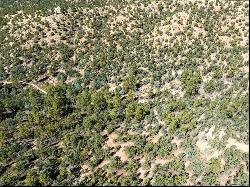 Turley Mill Lot 7, Arroyo Hondo NM 87513