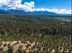 Turley Mill Lot 7, Arroyo Hondo NM 87513