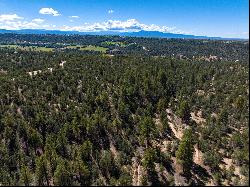 Turley Mill Lot 7, Arroyo Hondo NM 87513