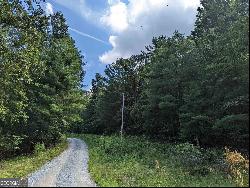 0 Twin Springs Road, Mineral Bluff GA 30559