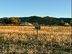 Lot 6 Lucia Lane, Victor ID 83455