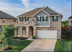 14115 Carlisle Hollow Ln Trail, Pearland TX 77584