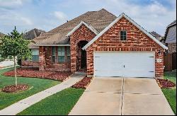 3630 Lister Drive, Iowa Colony TX 77583