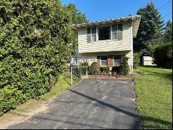 201 W Albany Street, Oswego-City NY 13126