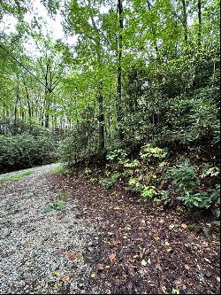 Lot 121 Granny Squirrel Dr, Andrews NC 28901