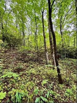 Lot 121 Granny Squirrel Dr, Andrews NC 28901