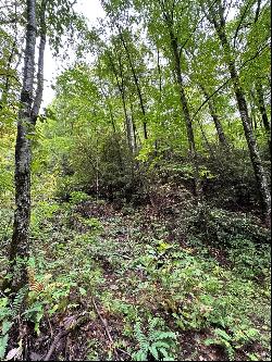 Lot 121 Granny Squirrel Dr, Andrews NC 28901