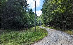 Twin Springs Road, Mineral Bluff GA 30559