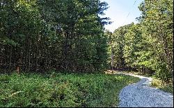 Twin Springs Road, Mineral Bluff GA 30559