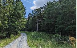 Twin Springs Road, Mineral Bluff GA 30559