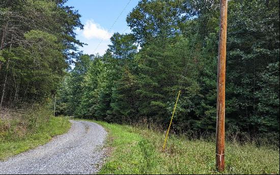 Twin Springs Road, Mineral Bluff GA 30559