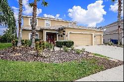 5806 Candytuft Pl, Land O Lakes FL 34639