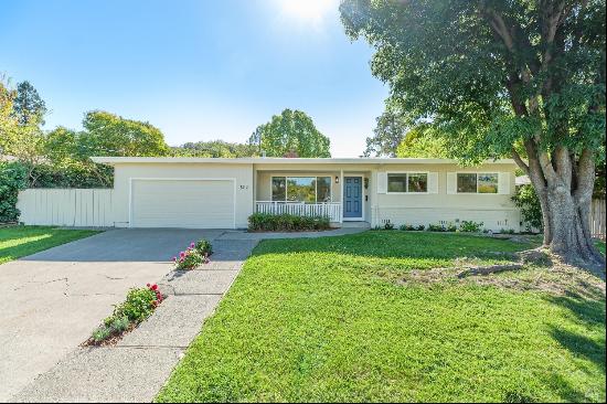 1213 Denlyn Street, Novato CA 94947