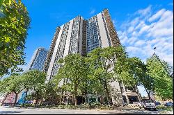 1255 N Sandburg Terrace #210, Chicago IL 60610