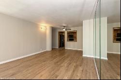 155 N HARBOR Drive #1607, Chicago IL 60601