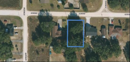 SW 102nd Street, Dunnellon FL 34432