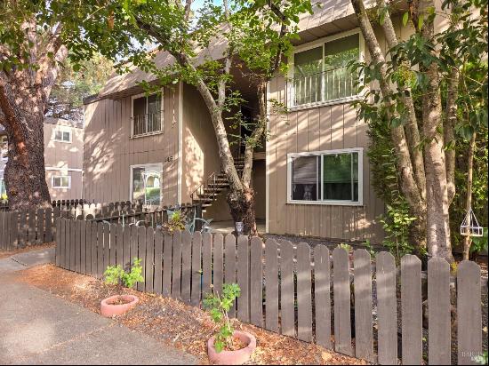 145 Lincoln Street, Santa Rosa CA 95401