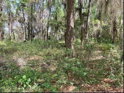 Lot 49 St. Joseph Point Drive, Darien GA 31305