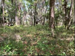 Lot 49 St. Joseph Point Drive, Darien GA 31305